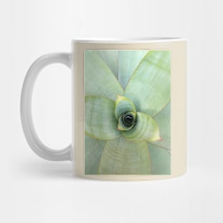 Alcantarea Imperialis Mug